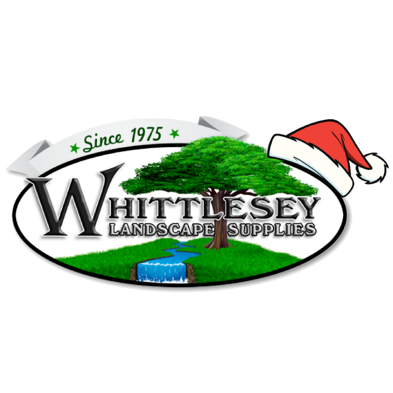 Whittlesey christmas