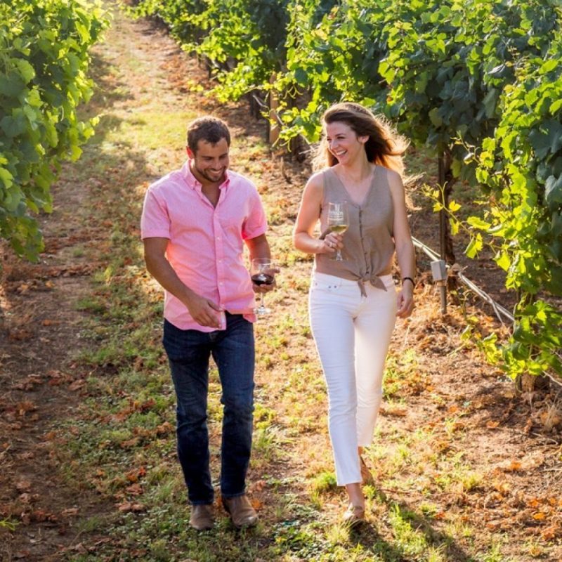 Couple walking in vinyard wide